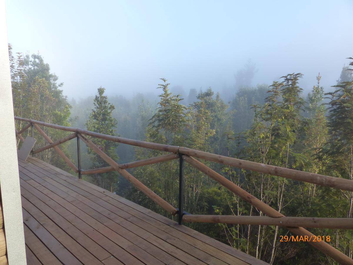 Cabanas Latitud 41 Sur Quillaipe Bagian luar foto